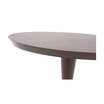 Кофейный столик Ovalesque side table / art.76-0368  — фотография 5