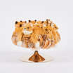 Банкетка или Пуф Golden fox trompette pouf — фотография 2
