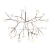 Люстра  Heracleum II Small